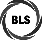 Baltic Logistik Service
